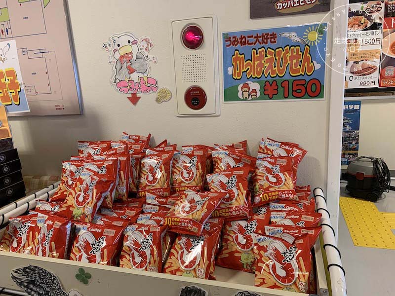 岩手・宮古市旅遊指南 - 尋著宮澤賢治的腳步，探訪「淨土之濱」震撼心靈的遺世美景(交通路線)