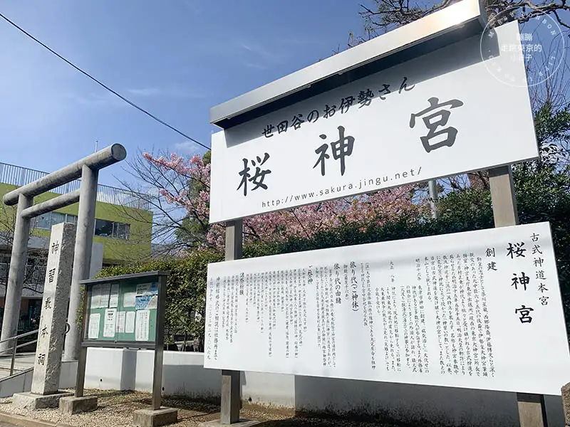 東京賞櫻景點：櫻神宮門口