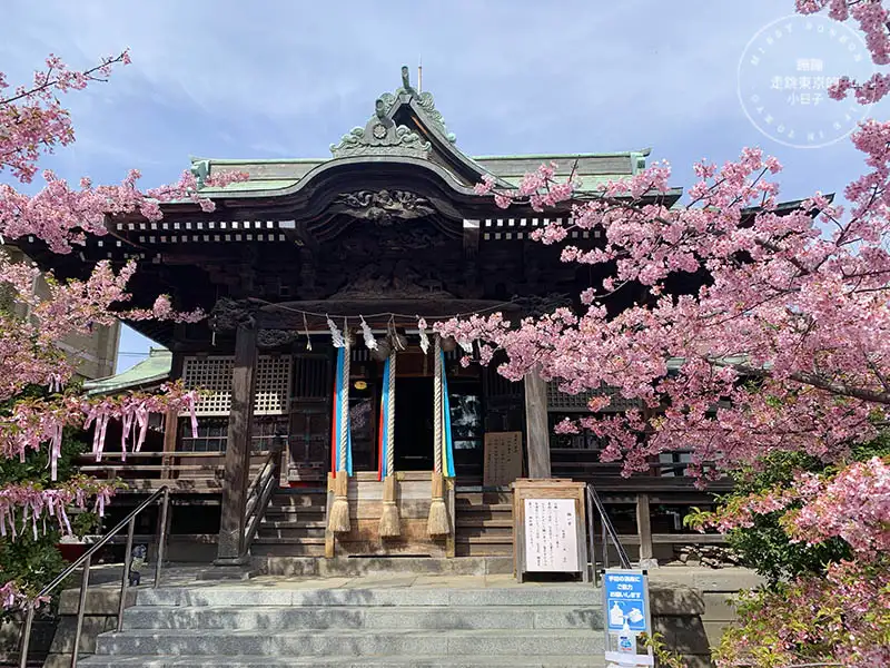 東京賞櫻景點：櫻神宮主殿
