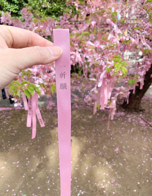 東京賞櫻景點：櫻神宮的櫻色祈願緞帶