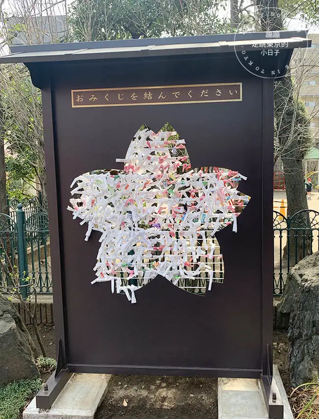 東京賞櫻景點：櫻神宮的河津櫻與櫻色祈願緞帶