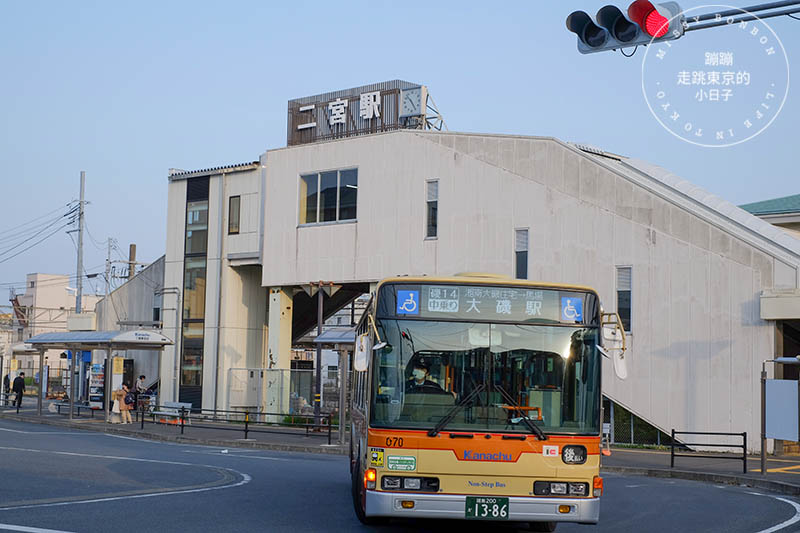 吾妻山公園，神奈川賞櫻花景點：油菜花、櫻花、富士山與海灣共舞的美景之地