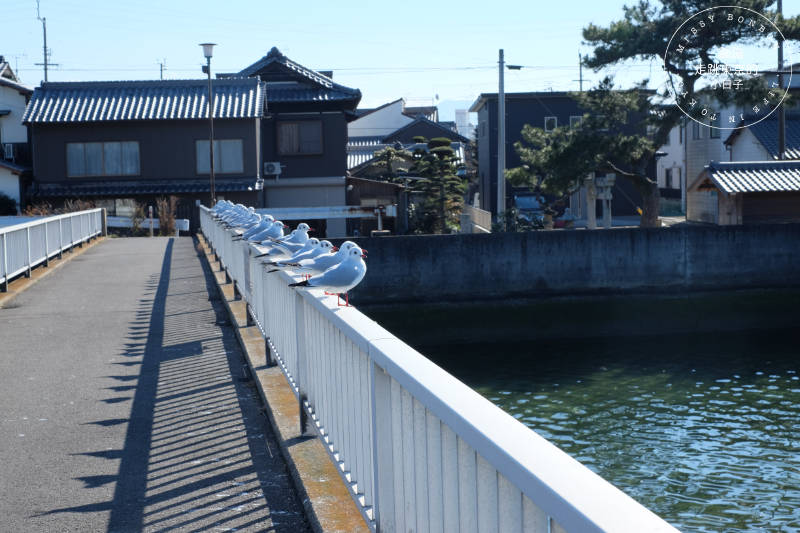 天空の鳥居高屋神社：香川高山上的千年神社，俯瞰瀨戶內海美景的四國神社巡禮