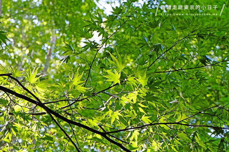 【輕井澤住宿推薦】輕井澤Ellegance飯店 - 輕鬆體驗輕井澤魅力的高CP值住宿選擇