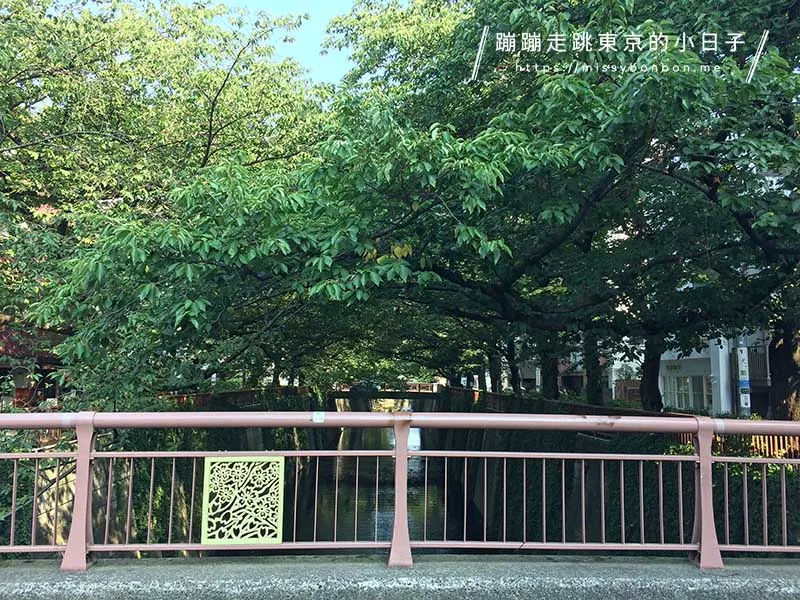 目黑川夏天風景