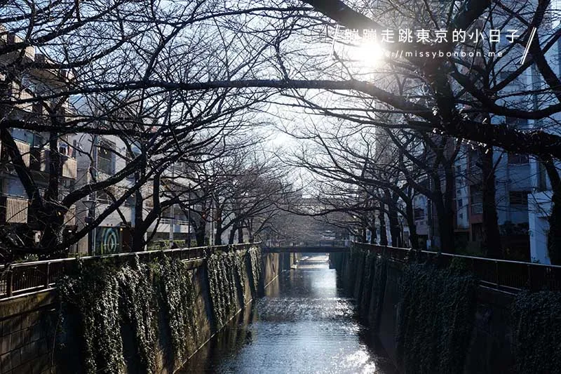 目黑川秋冬風景