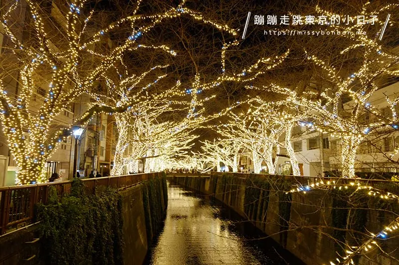 目黑川河岸夜晚燈飾
