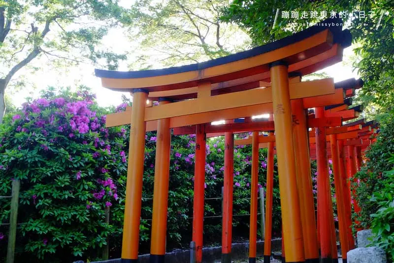 根津神社與千本鳥居