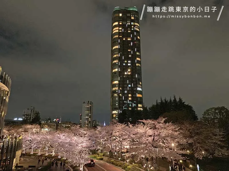 東京六本木的夜櫻景色