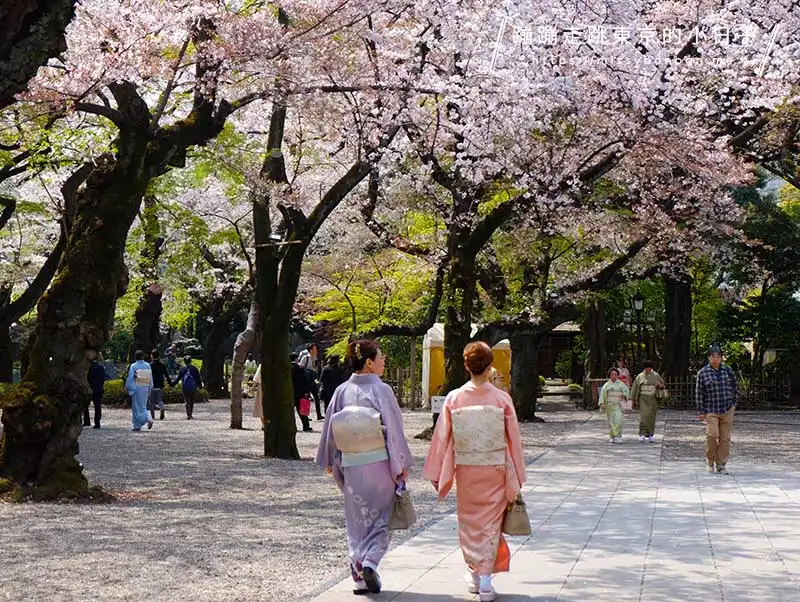 東京賞櫻