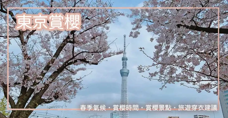 東京隅田川公園賞晴空塔和櫻花